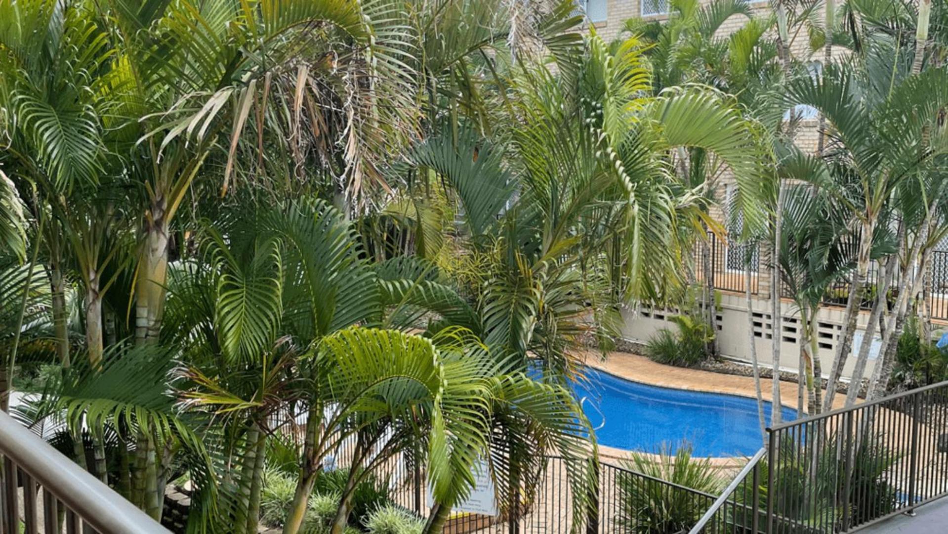 Cabarita Beachfront Apartments By Kingscliff Accommodation Buitenkant foto